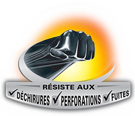 Fist_fr